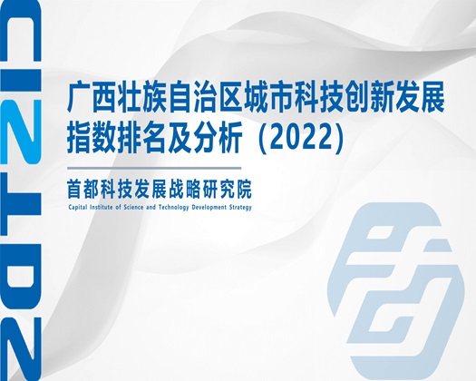 操大逼16p【成果发布】广西壮族自治区城市科技创新发展指数排名及分析（2022）